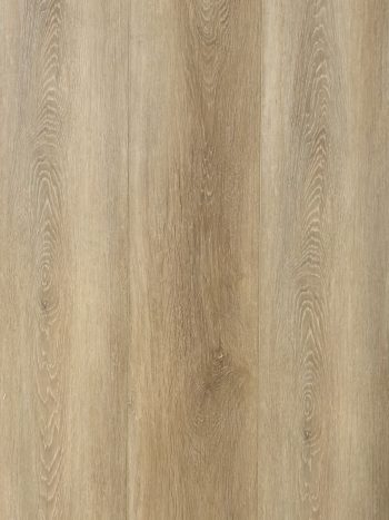 Seabrook BM119